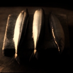 Brochet