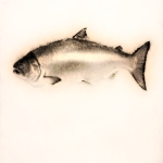 Saumon